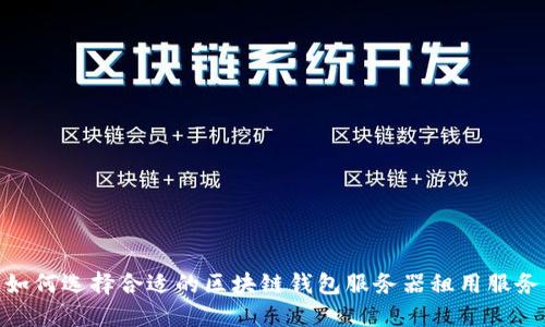 如何选择合适的区块链钱包服务器租用服务